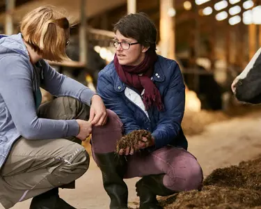 FarmAhead™ Beräkning – vårt verktyg för att nå klimatmålet